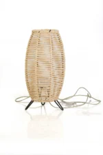 Armonie Luminoasă: Lampa Împletită din Panusă cu Schelet Metalic Handmade